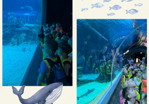 Dzieci w oceanarium