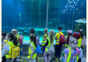 Dzieci w oceanarium