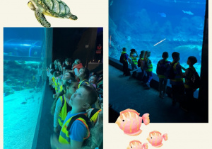 Dzieci w oceanarium