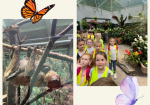Dzieci w zoo