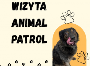 Wizyta Animal Patrol