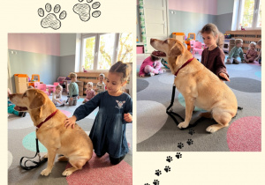 Dzieci z grupy II głaszczą psa