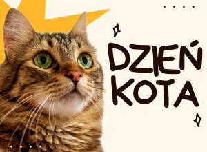 Dzień Kota