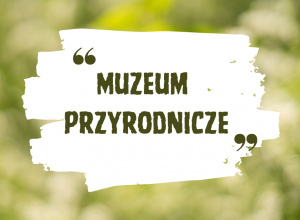 Muzeum Przyrodnicze