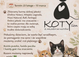 Zbiórka Karmy dla kotów - podopiecznych fundacji Kotylion