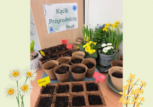 Nasz piękny kącik przyrodniczy