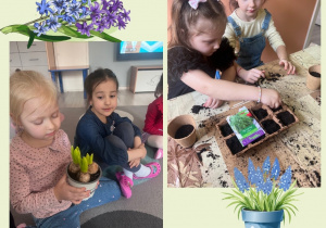 Dzieci sieją roślinki