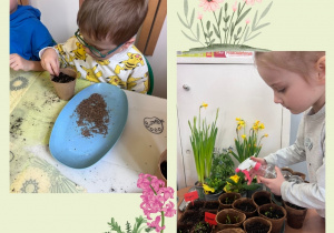 Dzieci sieją wiosenne rośliny