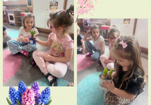 Dzieci rozpoznają wiosenne kwiaty